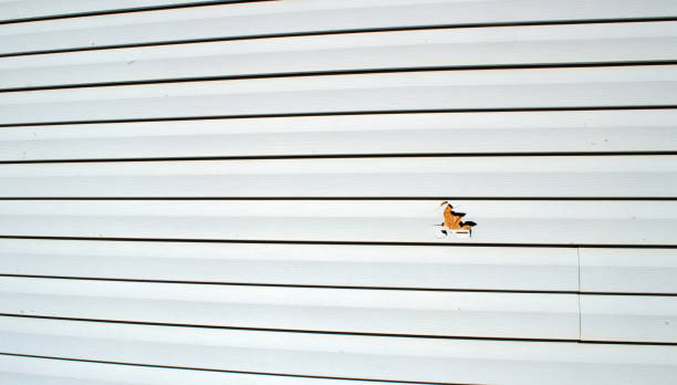 Best Wood Siding Installation  in Pierre Part, LA