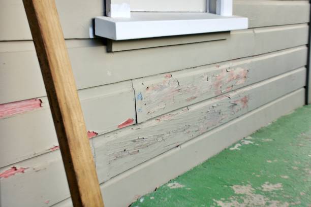Best Siding Painting and Refinishing  in Pierre Part, LA